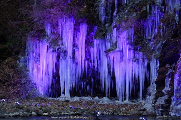 夜のライトアップで広がる幻想的な世界