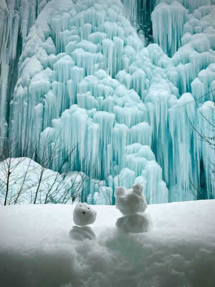 令和7年度　写真コンテスト　入賞作品