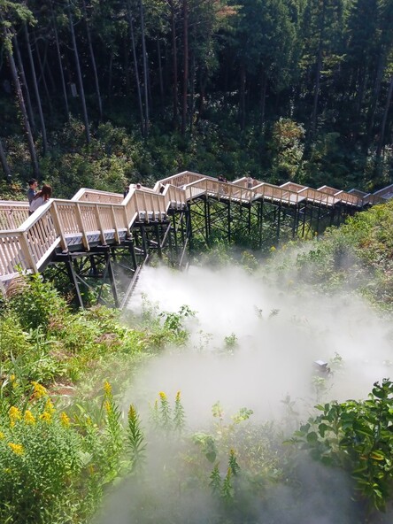 萬松園あいうえおの杜（空中回廊）