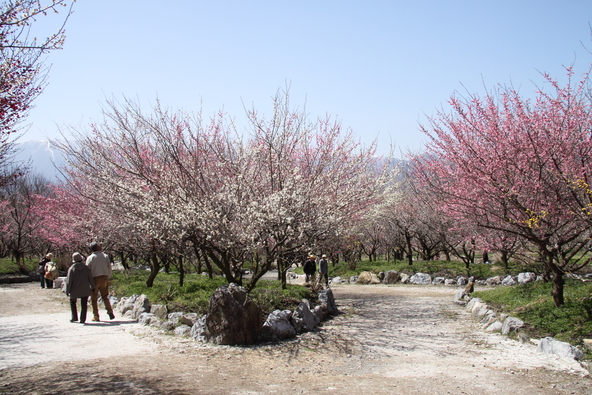 敷地が広く、写真撮影ができるポイントが点在しています（写真提供：三重県観光連盟「出典元： www.kankomie.or.jp」）