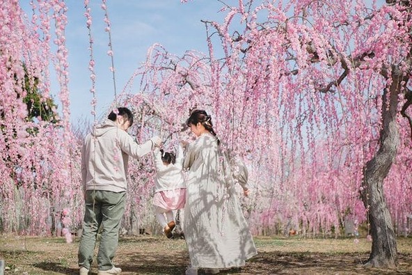梅を背景に家族で記念撮影してみては？