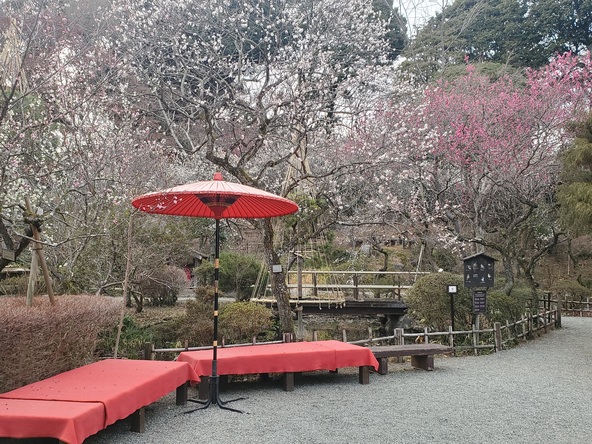 風情あるフォトスポットも登場（過去開催時の様子）