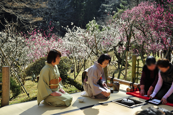 野点の様子（画像提供：成田市観光協会）