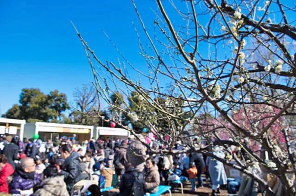 （C）世田谷区北沢総合支所 地域振興課