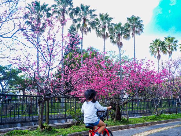 市民に愛される憩いの場（画像提供：μ.milky / PIXTA）