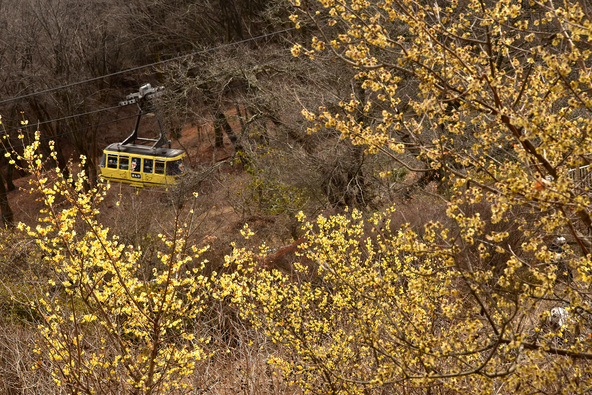 宝登山ロープウェイ（画像提供：秩父鉄道） ※イメージ画像