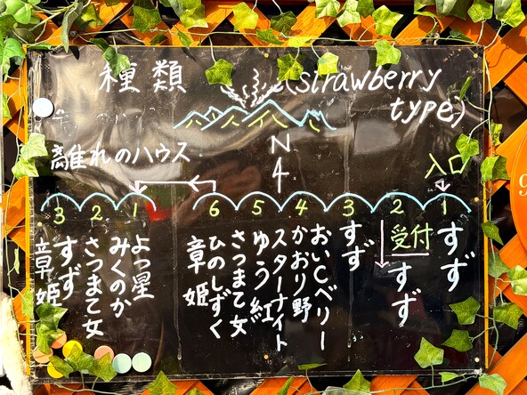 10種類と様々なブランドのいちご食べ比べが楽しめます