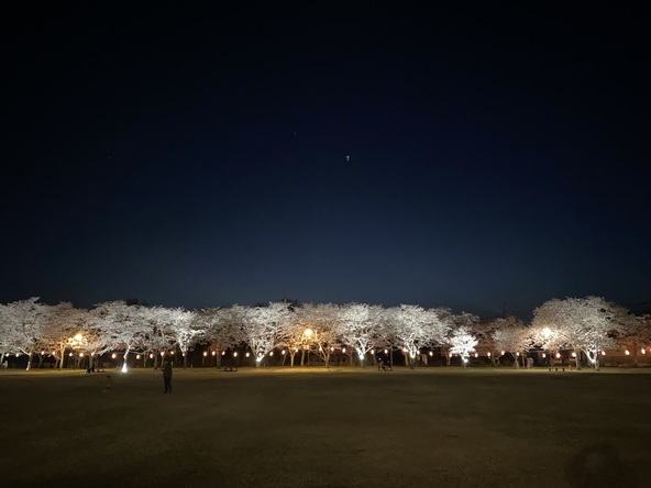 提灯明かりがとてもきれいです。