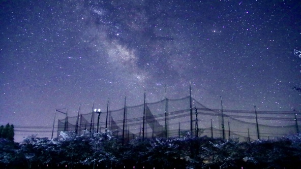 今年こそはうまく撮影したいです。