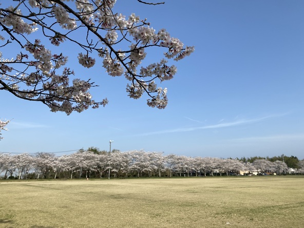 シート広げてのんびりしたい。