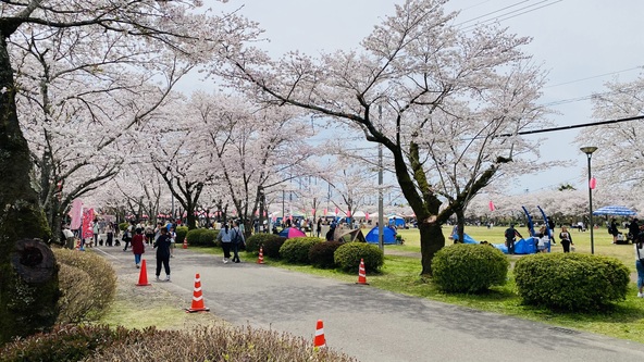 イベント期間中は多くの観光客が県内外から訪れます。