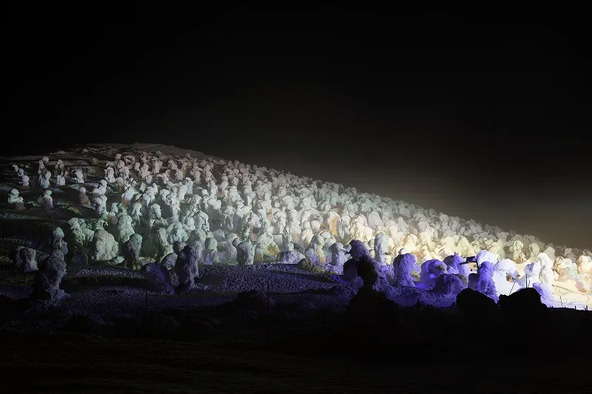漆黒の闇で光り輝く樹氷は必見！