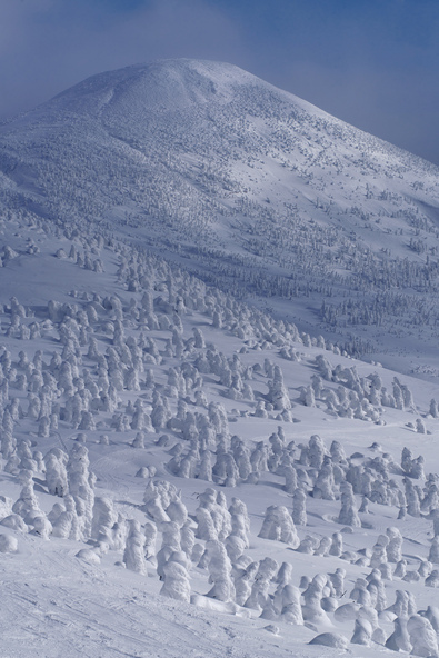 形や大きさが異なる、美しく見事な樹氷