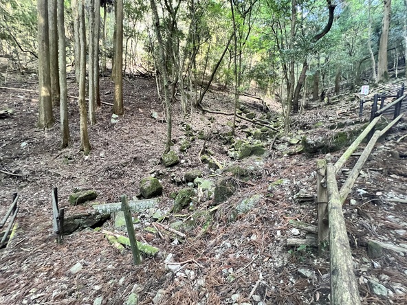 小石、浮石、倒木　結構崩れやすい渓谷だそうです。