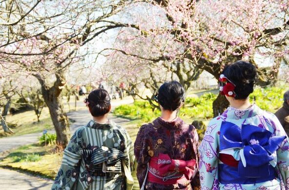 2026年2月22日（日）には一日限定で着物のレンタル・着付けサービスなども実施