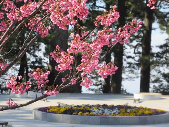 2026年1月27日の様子：松原公園