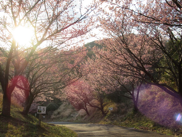 2026年1月27日の様子：恋人岬