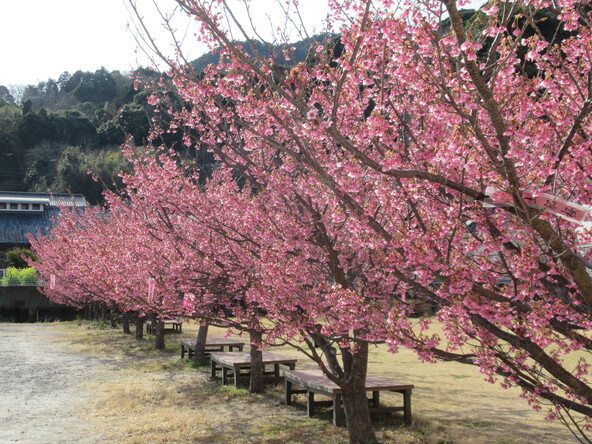 2026年1月27日の様子：南小記念広場