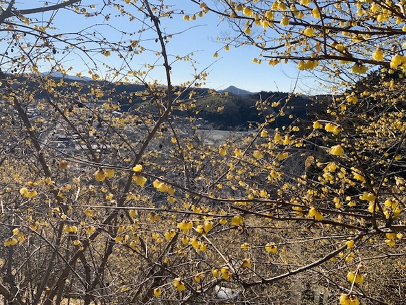 2026年2月3日の様子