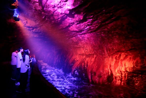 夜の洞窟を探検する非日常的な体験です