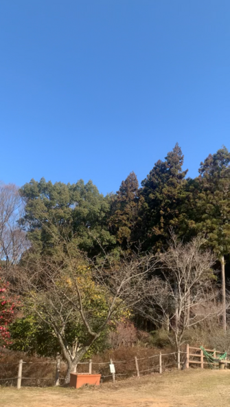 2026年2月4日の様子