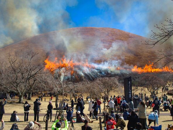当日は、午前中から多くの見物客が集まります