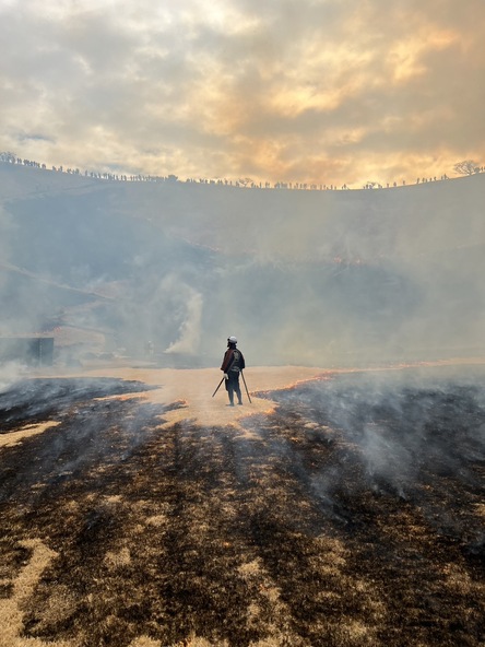 歴史ある伝統行事を親子で観覧してみましょう