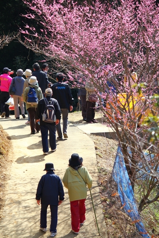 ※画像はイメージです（画像提供：徳島県観光協会）