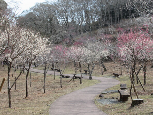 2026年2月5日の様子