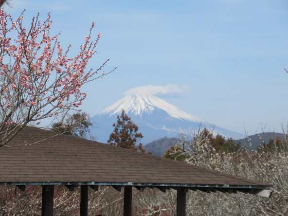 2026年2月5日の様子
