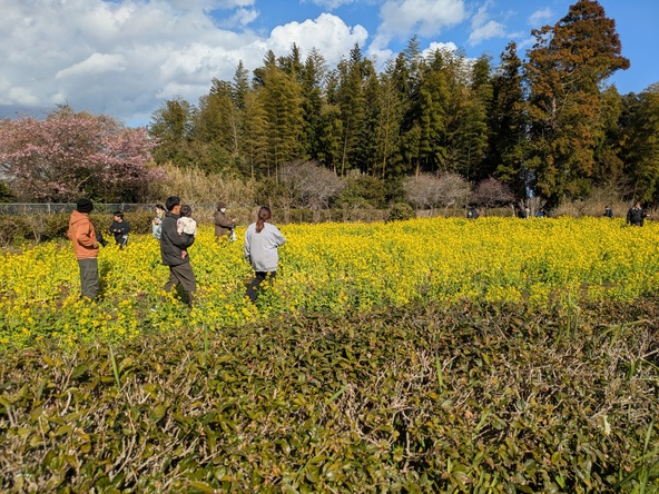 家族みんなで春の訪れを感じられる人気の催しです