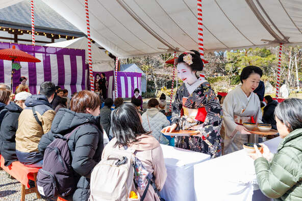 上七軒の芸舞妓による野点の席が「梅花祭」を彩ります