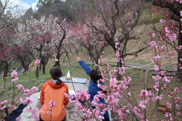 2010年から毎年開催している人気イベント