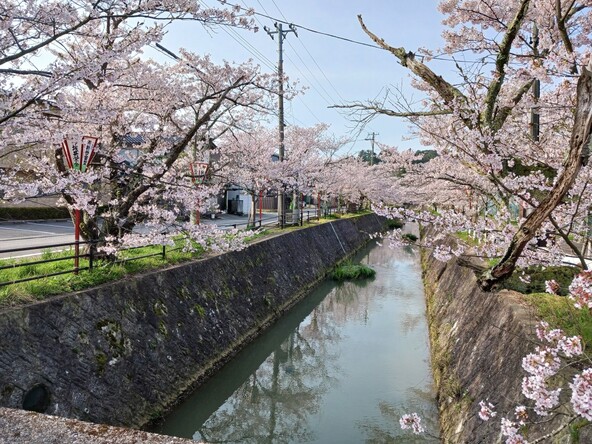 画像提供：（一社）加賀市観光交流機構