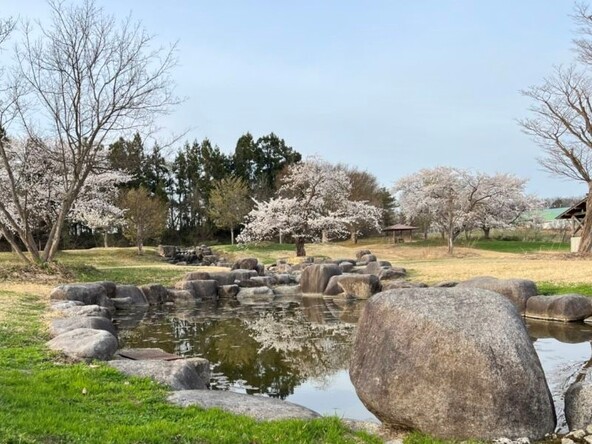 涼しげなせせらぎ