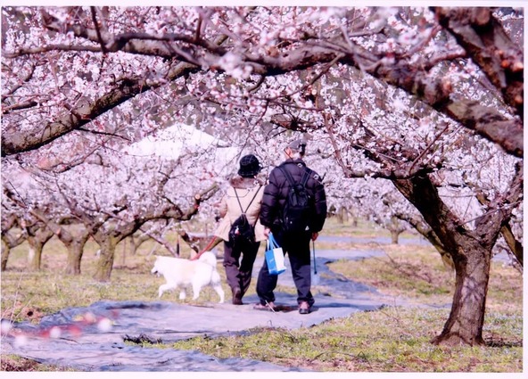 園内はペット同伴OK！