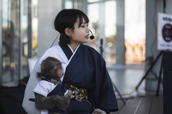 猿芸工房 登録番号 20東京都展第101433号　お猿の体調等で中止となる場合もあります。