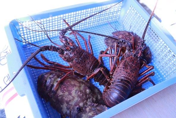 ※写真はイメージです