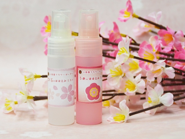  梅の香りのミスト作り（作品イメージ）