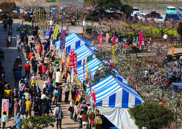梅の花と一緒に、イベントやグルメも満喫！