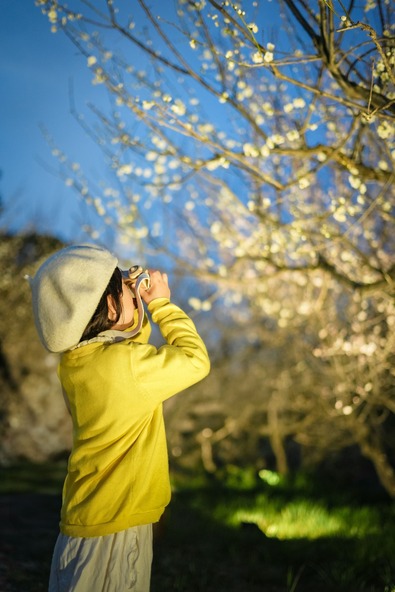 大人から子供までが楽しめるポイントが充実しています