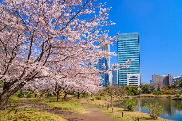 画像：Yoshitaka / PIXTA