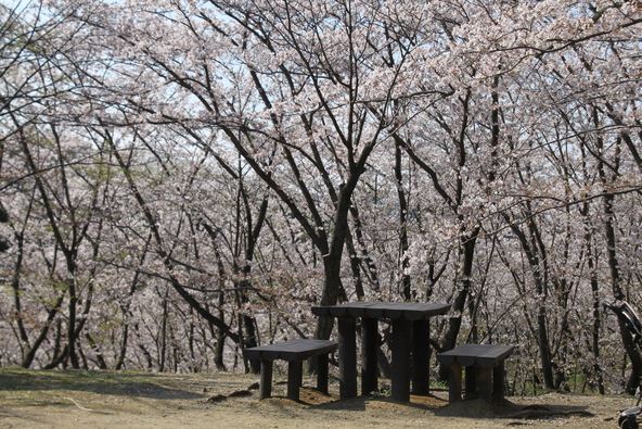 画像：写真散歩 / PIXTA