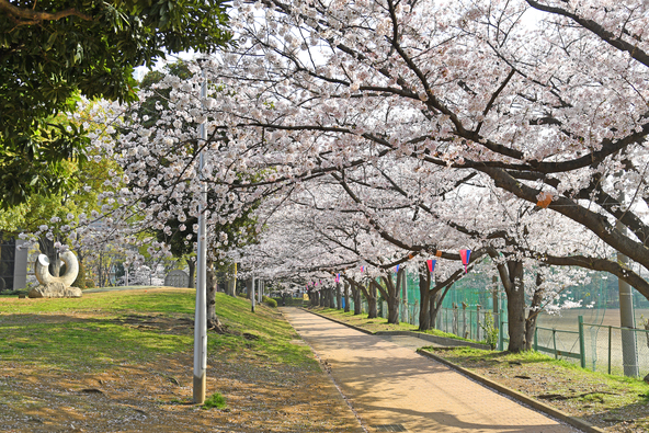 画像：Sunrising / PIXTA