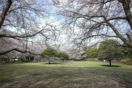 画像：姉妹サイト「いこーよ」より