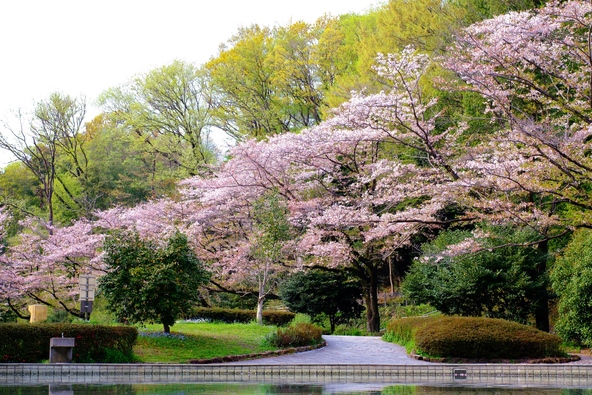 画像：kepporu / PIXTA