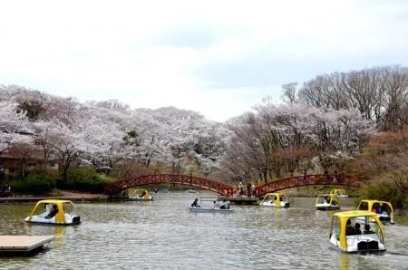 画像：姉妹サイト「いこーよ」より