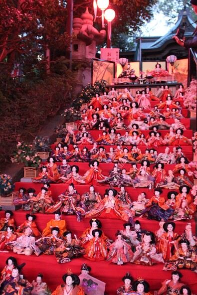 ぼんぼりのピンク色の明かりで照らされる、ひな人形のライトアップも必見！