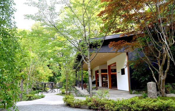木々に囲まれた「きんじろうカフェ」（画像提供：報徳二宮神社）