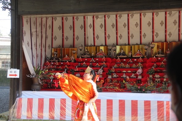 ゆったりと舞う光景は見る人の心を惹きつけます